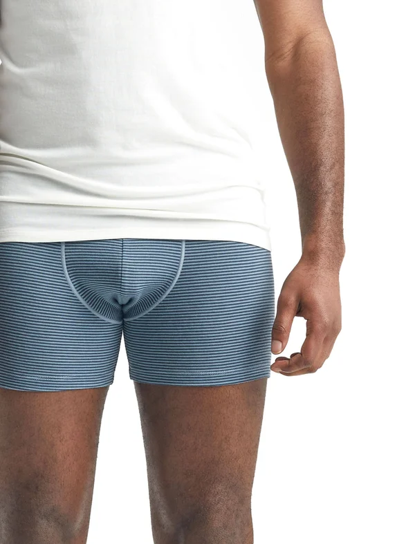 Icebreaker Anatomica Boxers - Men's Gravel - L