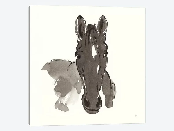 Chris Paschke Large Canvas Prints - Horse Portrait IV ( Animal Art > Farm Animals > Horses art)