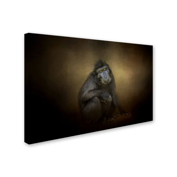 Trademark Art Jai Johnson 'Portrait of A Savannah Baboon' Canvas Art
