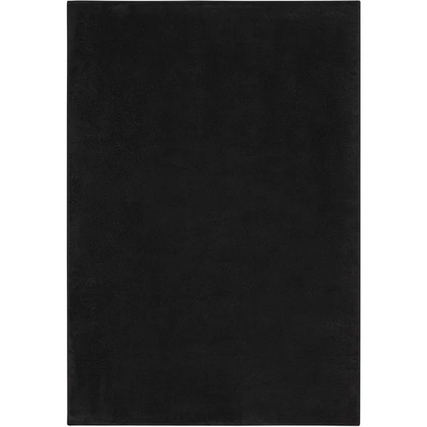 Nourison Essentials Indoor/Outdoor Contemporary Black Area Rug - Size: 4& x 6&