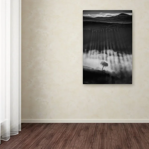 Trademark Fine Art 1X04118-C3047Gg Peter Svoboda 'Rising Up' Canvas AR
