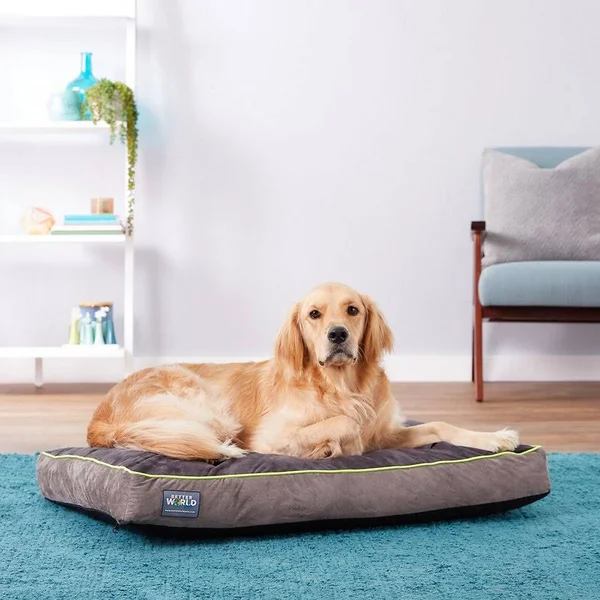 Better World Pets Orthopedic Pillow Dog Bed w/Removable COVER, Rave Green, Medium