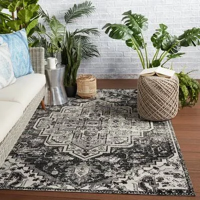 Pocahontas Black/Gray Indoor, Outdoor Area Rug Langley Street Rug Size: Rectangle 4' x 6'