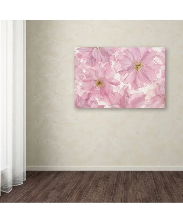 Trademark Fine Art &Pink Cherry Blossom& Canvas Art by Cora Niele, Size: 16 x 24