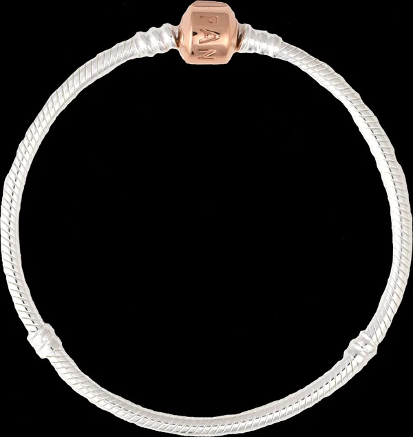 Silver Charm Bracelet with Pandora Rose Clasp