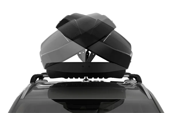 Thule Motion XT Alpine Cargo Box