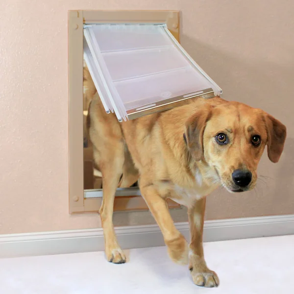 Endura Flap Wall Mount Pet Door Small - Double Flap, Tan
