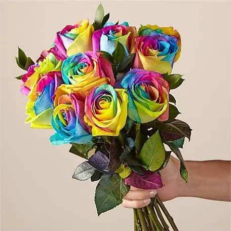 FTD Flower Delivery - Rainbow Rose Bouquet 12 Stem No Vase, Send Flowers for Birthdays and Graduation at FTD.com, Fast and Sam