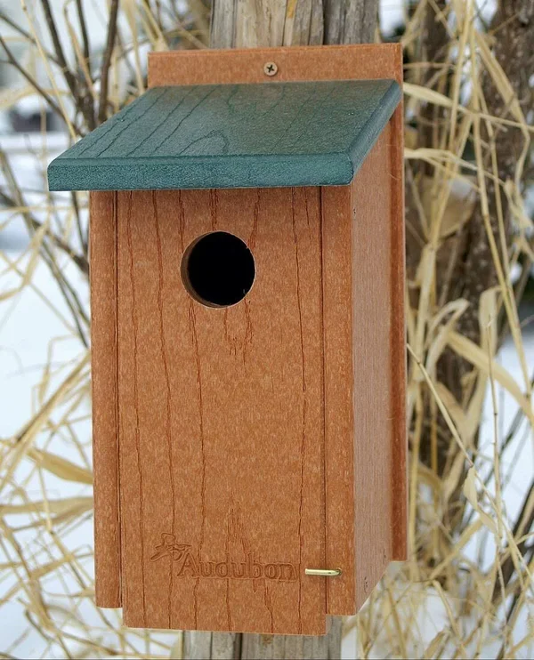 Going Green Bluebird House