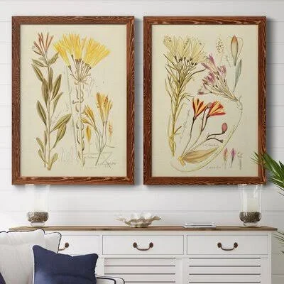 Antique Botanical Sketch IVPremium Framed Print - Ready to Hang August Grove Format: Maple Framed Canvas - Matte Color: No Matte