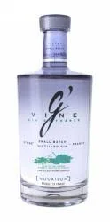 G&Vine Small Batch Nouaison Gin - 750 ml bottle