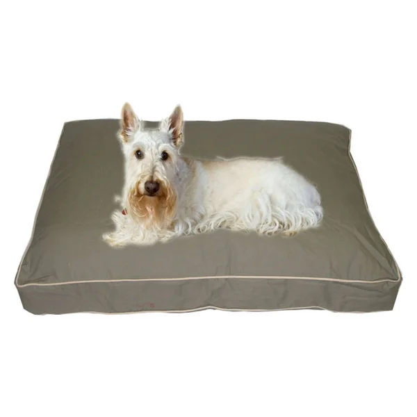 Carolina Pet Company Small Classic Twill Rectangle Jamison Bed - Sage