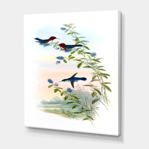 Designart 'Vintage Hummingbird II' Traditional Canvas Wall Art Print - 12 in. Wide x 20 in. High