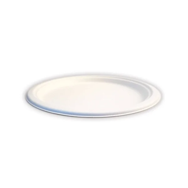 Green Earth - Natural Bagasse (Sugarcane Fiber) Tree Free 10x22 Paper Plate, Biodegradable, Compostable (500 Counts Disposable