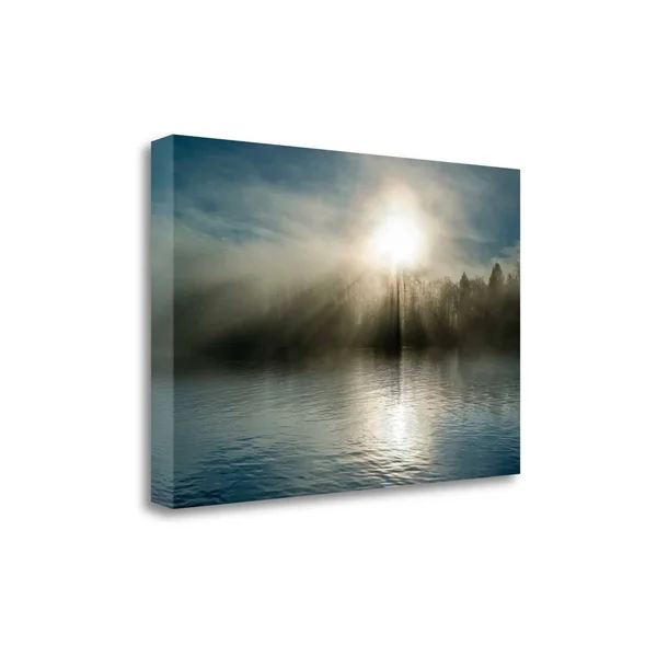 Tangletown Fine Art Rising Above The Water by Vladimir Kostka - Giclee Print on Wrap Canvas, 32x21x22