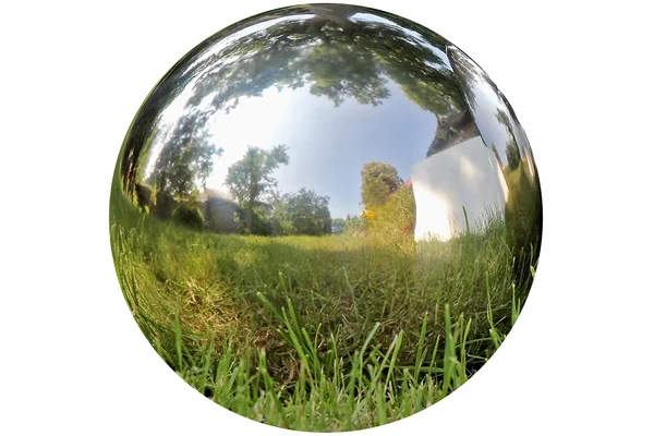 The Crosby Street Stainless Steel Gazing Ball for Garden and Home, 13 Inches in Diameter by Whole House Worlds