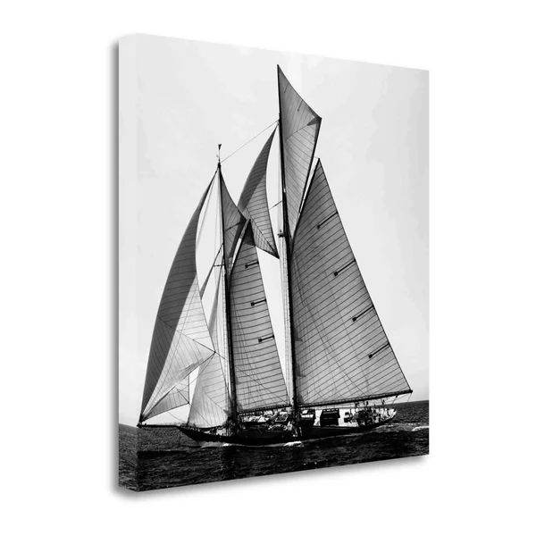 Tangletown Fine Art Adrift II by Jorge Llovet, Gallery Wrap Canvas