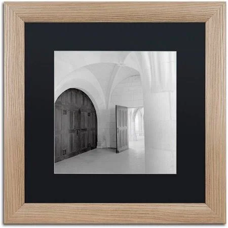 Trademark Art Alan Blaustein 'Amboise I' Black Matted Framed Art