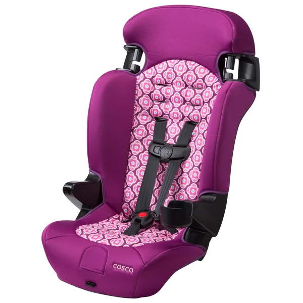 Cosco Finale 2-in-1 Booster Car Seat, Rosette