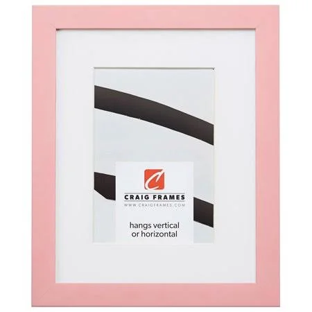 Craig Frames Confetti - 16x20 inch Modern Light Pink Picture Frame Matted for A 11x14 Photo, Size: 16 x 20