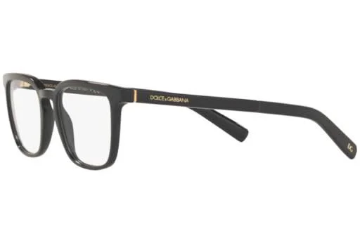 Dolce & Gabbana DG3307 501 Black