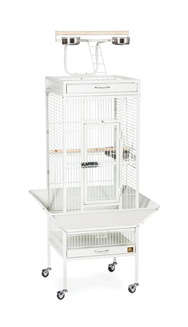 Prevue Wrought Iron Bird Cage Chalk White