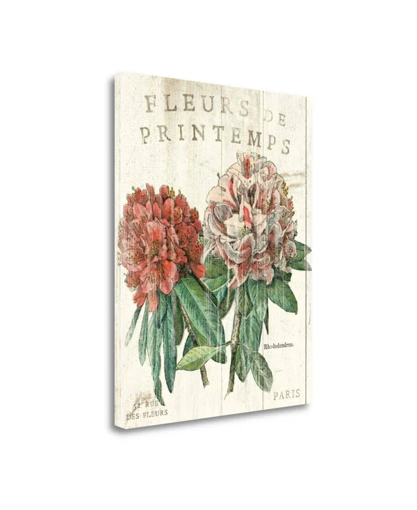 24x22 x 20x22 Fleur De Printemps by Sue Schlabach Fine Art Giclee Print