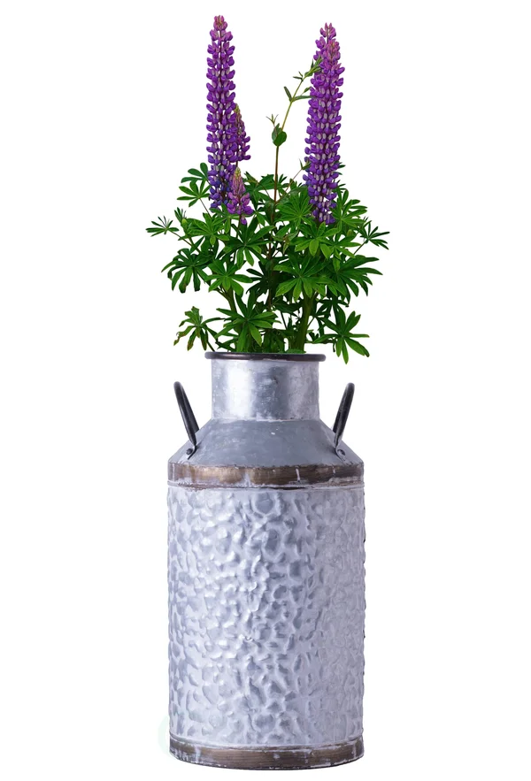 Vintiquewise Rustic Farmhouse Style Galvanized Metal Milk Can Decoration Planter and Vase, Large