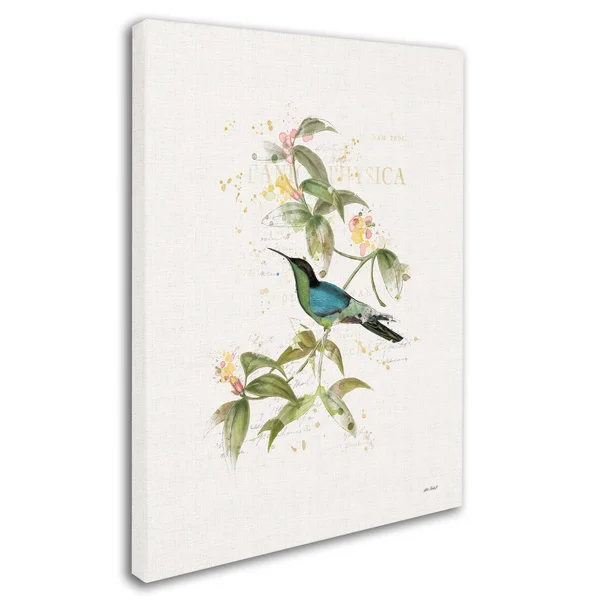 Trademark Art Katie Pertiet 'Colorful Hummingbirds IV' Canvas Art