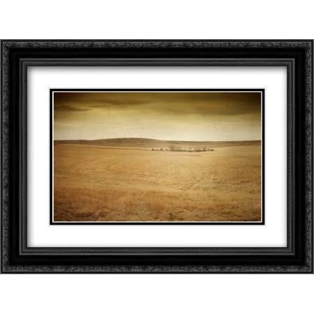 Homestead 2x Matted 24x18 Black Ornate Framed Art Print by Murray - Roberta