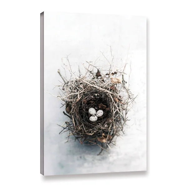 ArtWall Elena Ray &Bird Nest& Gallery-Wrapped Canvas