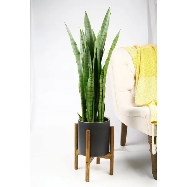 UPshining Mid Century Ceramic Planter 8x22 Black Planter with Wood Stand - Honey