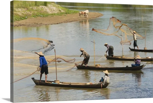 Fishermen Fishing on The River - Myanmar, Canvas Wall Art, 60x40, Great Big Canvas