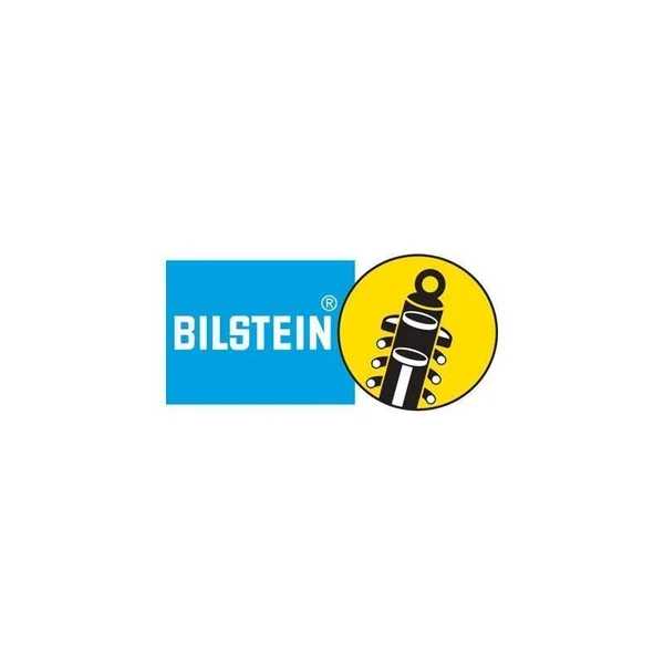 Bilstein 33-170794 5100 Series Steering Damper