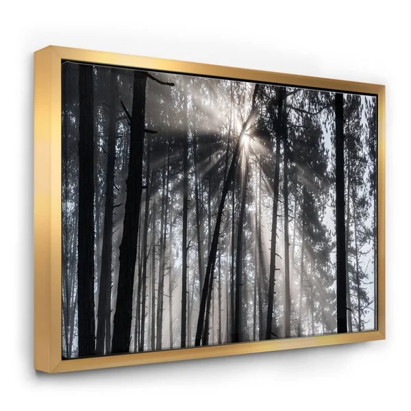 Designart Sunbeams Through Black White Forest- Forest Framed Canvas Wall Art Print in Gold, FL9987-46-36-GD