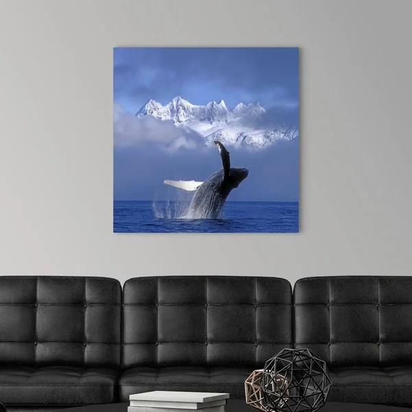 Humpback Whale Breaches in Clearing Fog SE AK Spring w/Mendenhall, Canvas Wall Art, 30x30, Great Big Canvas