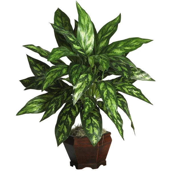 Nearly Natural Silk Silver King Plant with Wood Vase