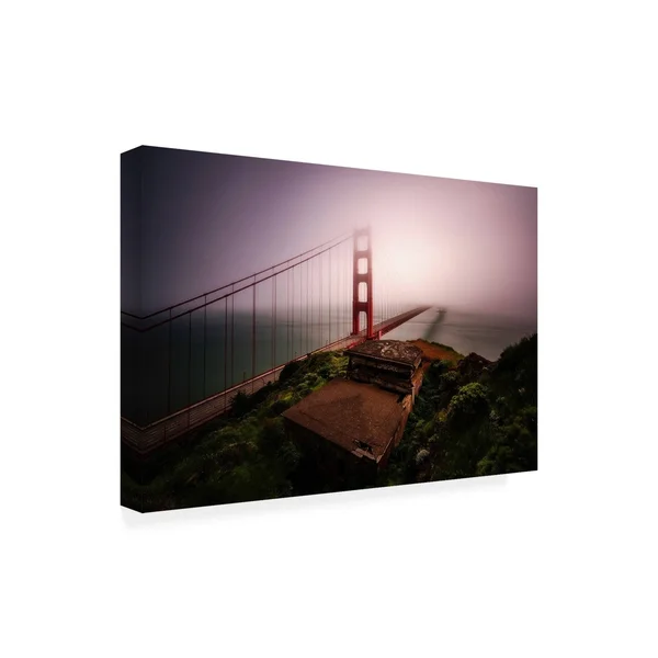 Trademark Art Bruce Gett 'White Out' Canvas Art