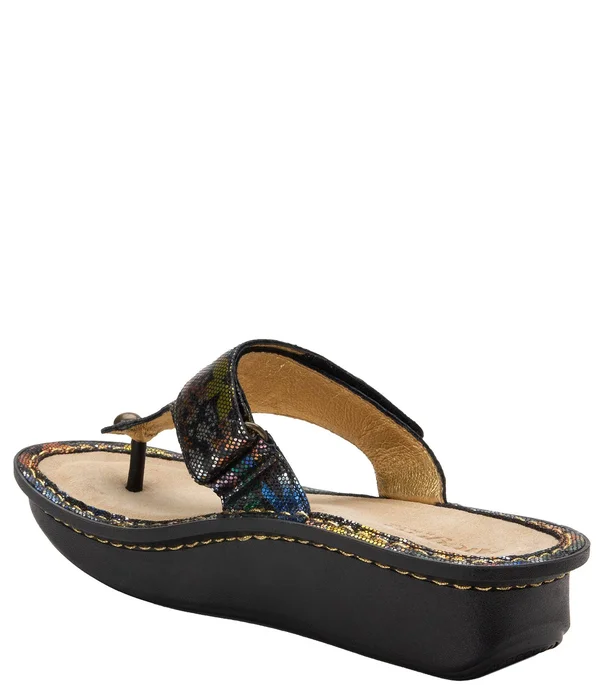 Alegria Women's Carina Shoes - Carina Carefree in Size 36