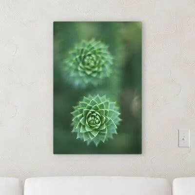 &Succulent& Graphic Art Print on Canvas Dakota Fields Size: 32x22 H x 16x22 W x 2x22 D