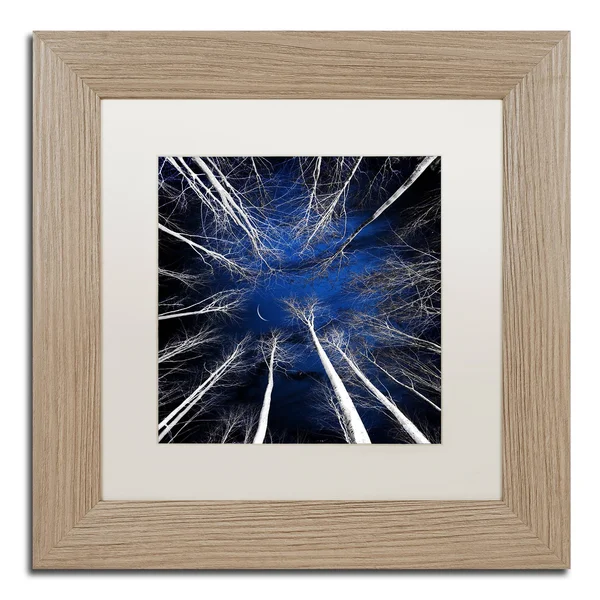 Trademark Fine Art &Renegades& by Philippe Sainte-Laudy Framed Graphic Art - Size: 11x22 H x 11x22 W x 0.5x22 D