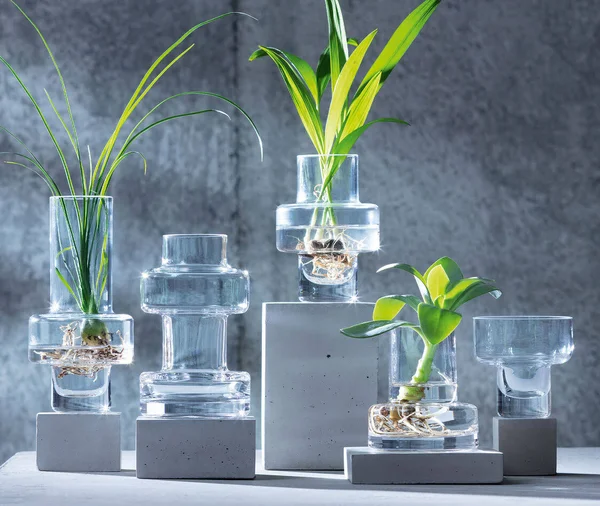 LSA Metropole Set of 5 Glass Vases
