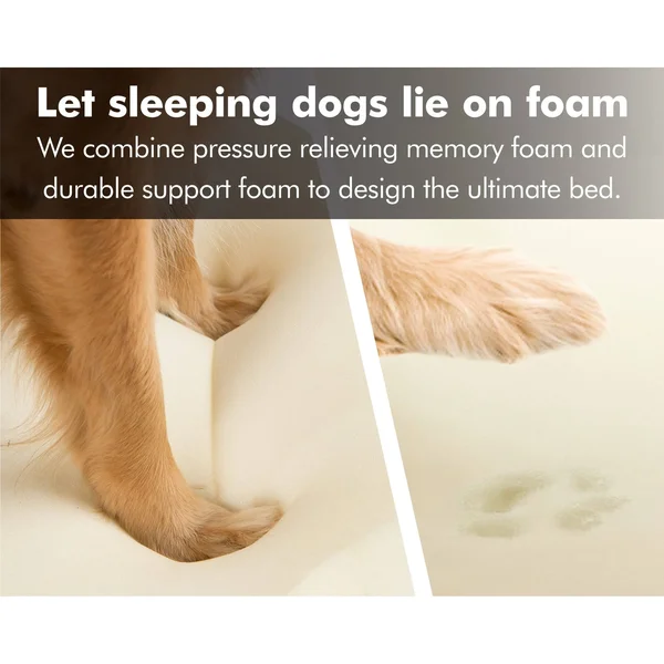 Friends Forever Orthopedic Memory Foam Dog Bed Sofa
