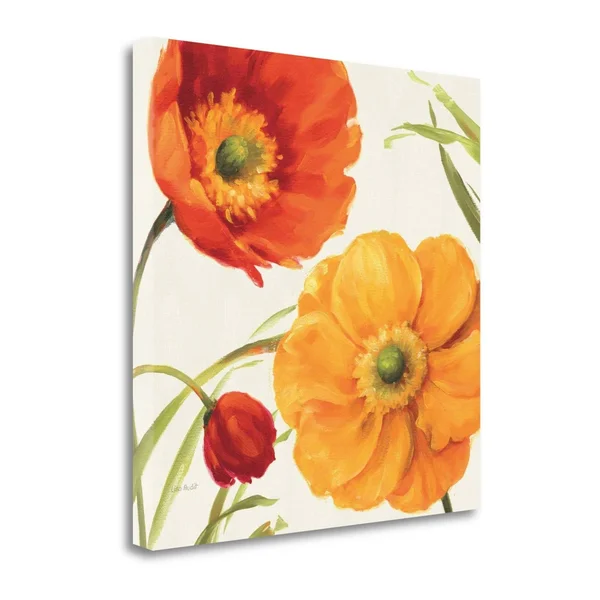 20x22 x 20x22 Poppies Melody II by Lisa Audit Fine Art Giclee Print