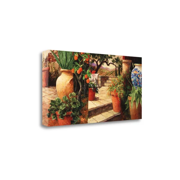 Tangletown Fine Art Turo Tuscan Orange by Art Fronckowiak, Giclee Print on Wrap Canvas, 47x24x22