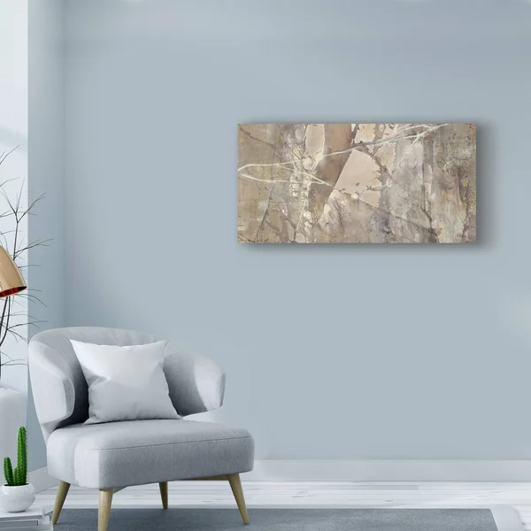 Trademark Fine Art 'Silver II Crop' Canvas Art by Albena Hristova - Size: 12 x 24