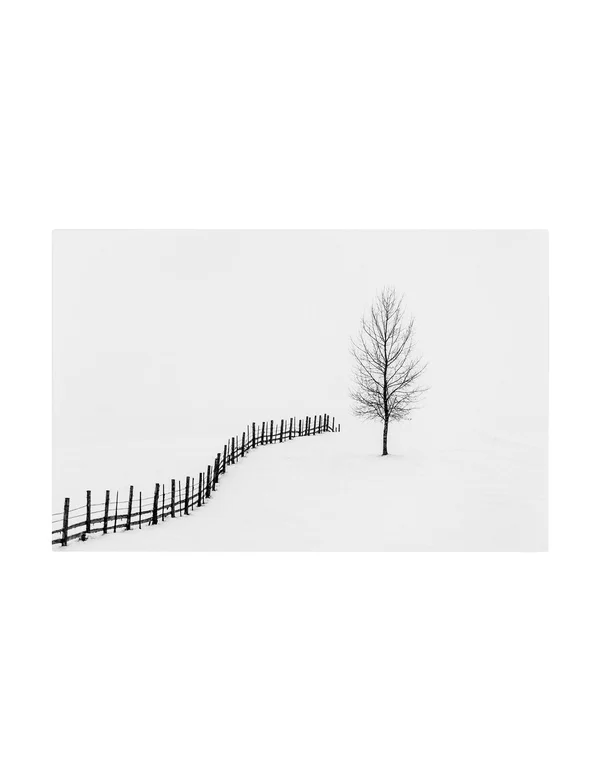 Trademark Fine Art 's I L E N C E' Canvas Art by Sveduneac Dorin Lucian - Size: 12 x 19