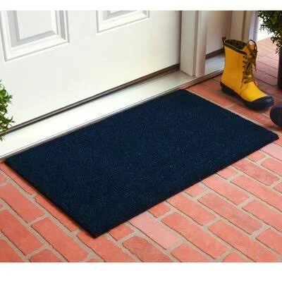 Bianka Non-Slip Indoor Door Mat Ebern Designs Mat Size: 24x22 W x 36x22 L, Color: Blue