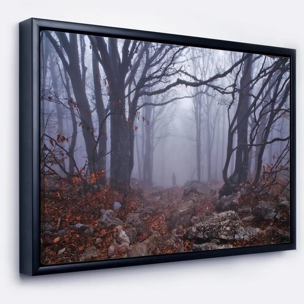 Designart 'Dark Foggy Forest in Autumn' Landscape Photography Framed Canvas Print - 20 in. Wide x 12 in. High - Black