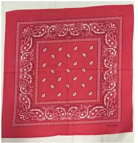 Flags by The Dozen Assorted Bandana Paisley Head Wrap in Various Colors 100% Cotton 22x22x22x22 12 Watermelon Pink